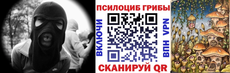 маркетплейс наркотические препараты  Алапаевск  Галлюциногенные грибы Psilocybine cubensis 